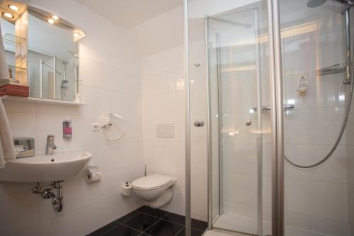 ein Bad mit einer Dusche, einem WC und einem Waschbecken in der Unterkunft LODGE HOTEL Winterberg in Winterberg