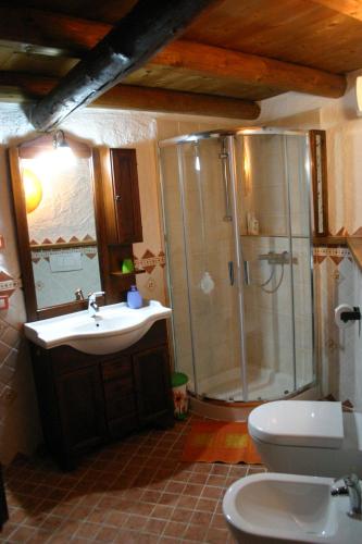 a bathroom with a shower and a toilet and a sink at Casa del Vasaio in Tenno