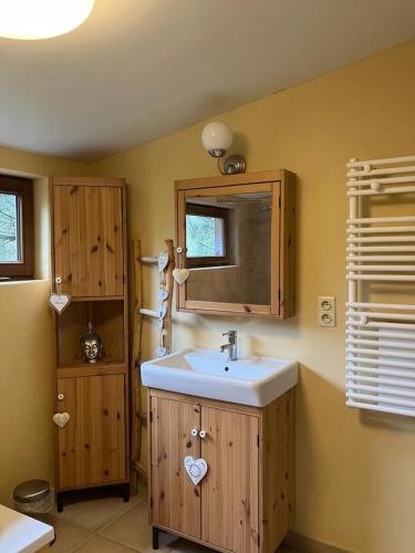ein Bad mit einem Waschbecken und einem Spiegel in der Unterkunft Gîte L'Orée 