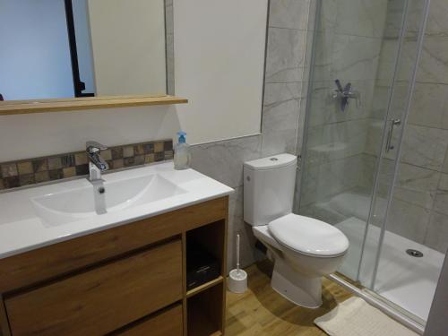ein Bad mit einem WC, einem Waschbecken und einer Dusche in der Unterkunft Gîte des Pleiades in Villemoirieu