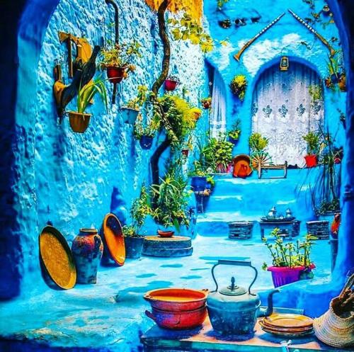 a blue room with a bunch of potted plants at DAR Casa Plasa Grande CHEFCHAOUEN in Chefchaouene