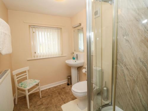 a bathroom with a toilet and a shower at Sycamore Cottage in Hucklow