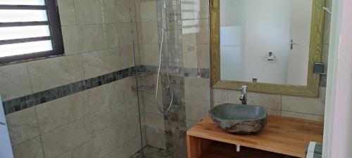 a bathroom with a shower with a sink and a mirror at La maison Loé in Cilaos