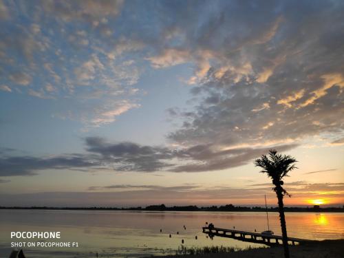 a palm tree next to a dock with a sunset at Hotel Marina in Nielisz