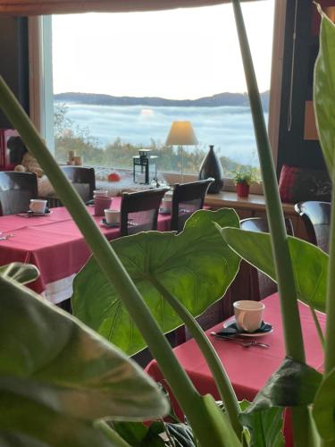 Příroda nedaleko hotelu