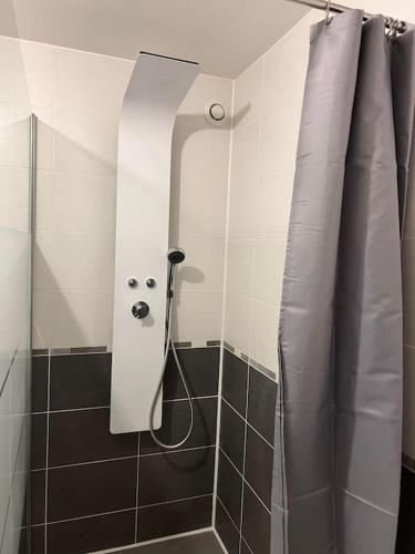 La salle de bains est pourvue d'une douche avec rideau de douche. dans l'établissement La courée, à Boulogne-sur-Mer