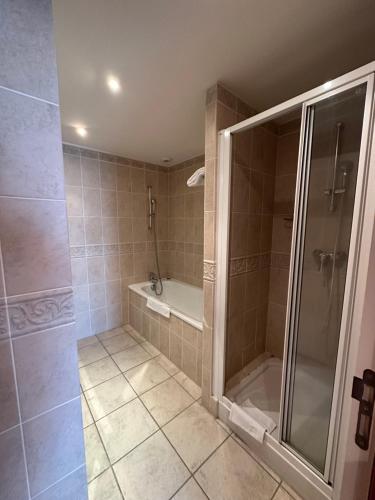 a bathroom with a shower and a bath tub at Hôtel et Restaurant Domaine de l'Orangerie in Bonnat