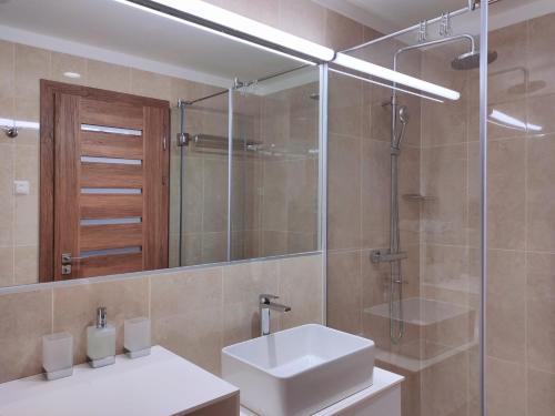 uma casa de banho com um lavatório, um chuveiro e um espelho. em Spa Residence Carbona Water Lily Apartment em Hévíz