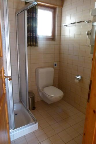 a small bathroom with a toilet and a shower at Ferienhaus Bensel in Alvaneu