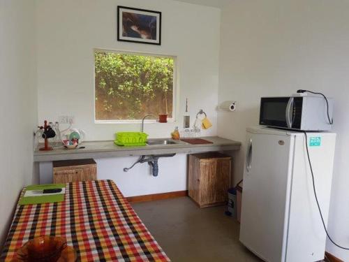 a kitchen with a refrigerator and a sink and a window at Zee's Garden in Matale