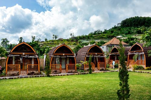 a row of huts in a field of grass at Kabinku Bali in Bedugul