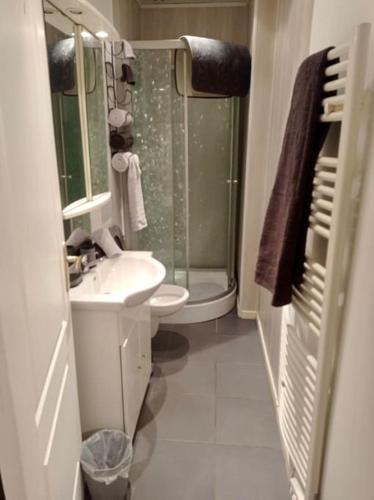 une salle de bain blanche avec un lavabo et une douche dans l'établissement Appartement - Nevers, à Nevers