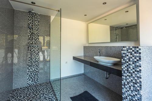 a bathroom with a sink and a glass shower at Seehaus Albatros in Kahnsdorf