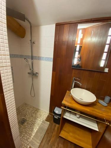 une salle de bain avec un lavabo et une douche dans l'établissement Maison de charme dans village provençal, à Vinsobres