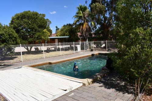 Πισίνα στο ή κοντά στο Berrigan Motel