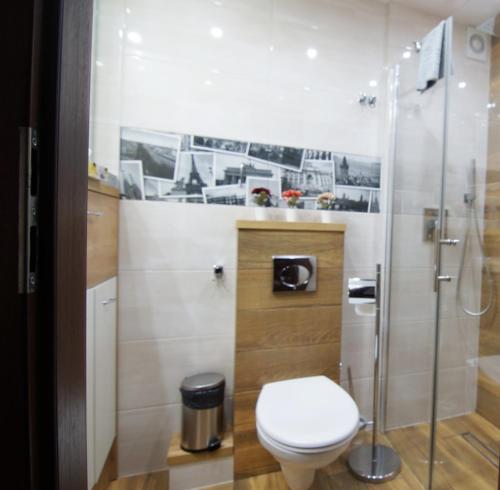 a bathroom with a toilet and a glass shower at Apartament tuż za rogiem Zamku in Malbork