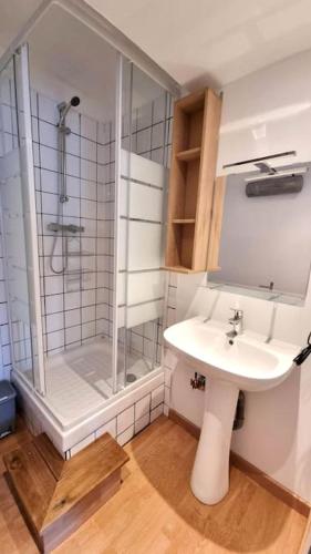 une salle de bain avec un lavabo et une douche dans l'établissement Studio en rez de jardin avec terrasse privée - Le petit Château Avesnois - TV - WIFI - logement complet, à Avesnes-sur-Helpe