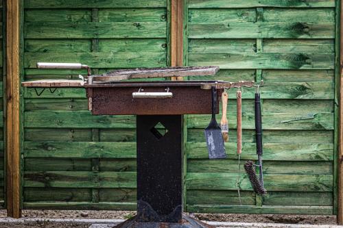 an old sink in front of a green wall at Villa Conchiglia blu con piscina in Ischia