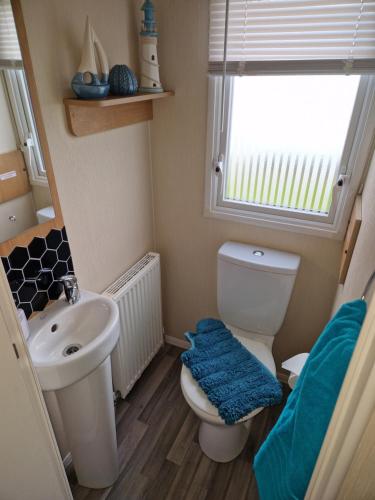 a small bathroom with a toilet and a sink at 3 bedroom Caravan Craigtara in Ayr