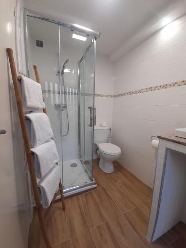 une salle de bain avec douche et toilettes dans l'établissement BRILOC Appartement Route des îles Sanguinaires, à Ajaccio