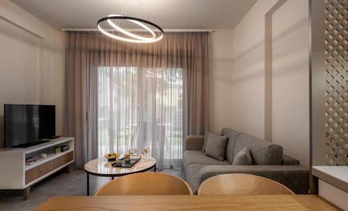 a living room with a couch and a tv at IRIS SUITES NIKITI in Nikiti