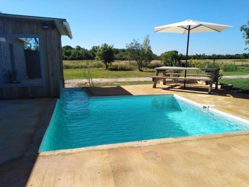 - une piscine avec une table de pique-nique et un parasol dans l'établissement Cabanon en bord d'estuaire calme en pleine nature, à Saint-Yzans-de-Médoc