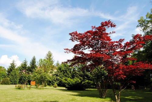 a red tree in the middle of a field at Villa Hedi Vendégház in Dunakiliti
