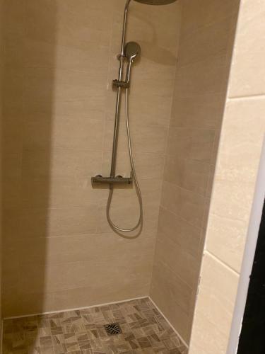 a shower with a shower head in a bathroom at La renaissance in Périgueux
