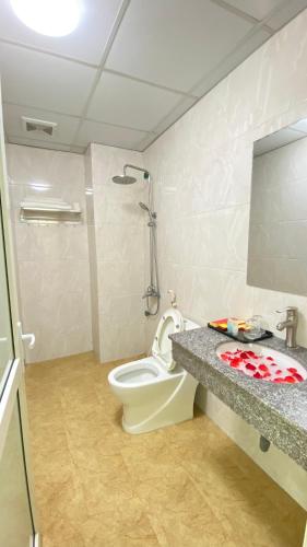 a bathroom with a toilet and a sink and a mirror at HỒNG PHƯƠNG HOTEL in Cao Bằng