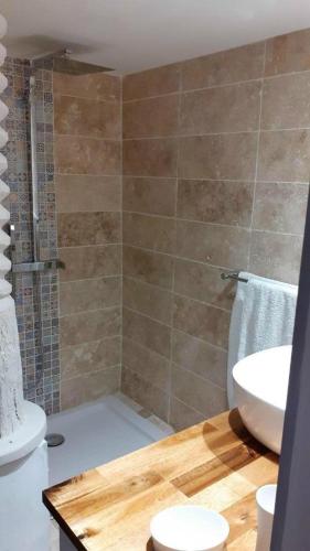 une salle de bain avec une douche, un lavabo et des toilettes dans l'établissement Le Jardin du Cannet, à Bagnols-en-Forêt