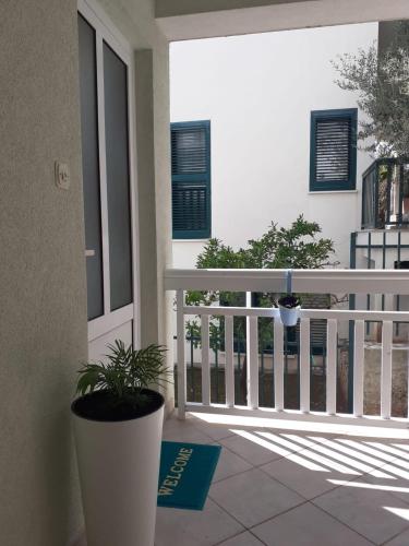 a porch with a potted plant on a balcony at Apartmani Leženić Dada in Neum
