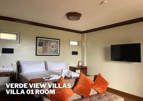 TV a/nebo společenská místnost v ubytování Verde View Villas
