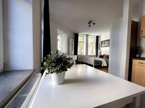 a white kitchen with a plant on a counter at R&L Apartment Karl-Heine-Strasse OG in Leipzig