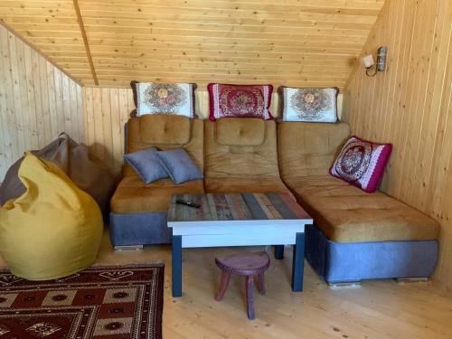 a couch with pillows and a table in a room at Гостьовий двір РіОНІ in Truskavets
