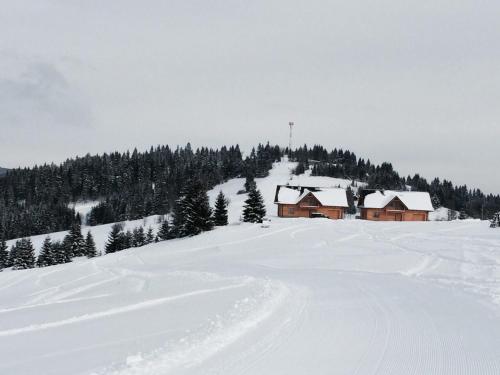 a snow covered hill with a house on top of it at Chata Vločka - Orava Snow v lyžiarskom stredisku in Oravská Lesná
