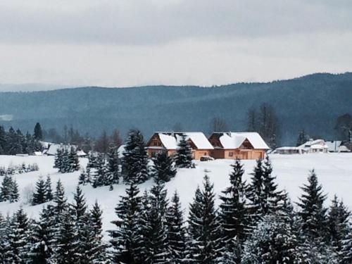a group of houses in the snow with trees at Chata Vločka - Orava Snow v lyžiarskom stredisku in Oravská Lesná