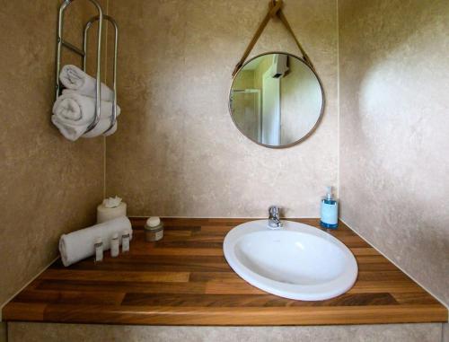 a bathroom with a sink and a mirror at Lakeside Eco Lodge- 'Heron' in Bishampton