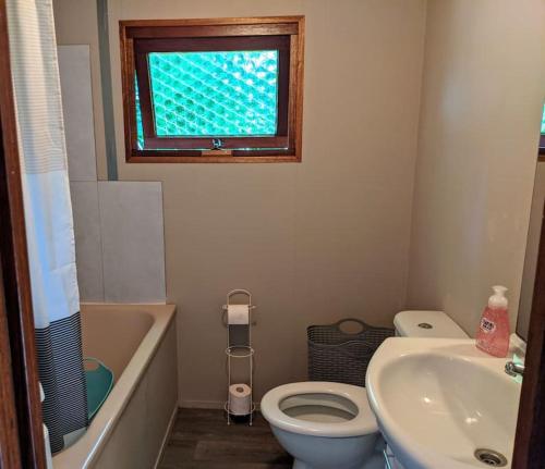 a bathroom with a toilet and a sink and a window at Sfeervol chaletje in een rustige bosrijke omgeving in Diessen