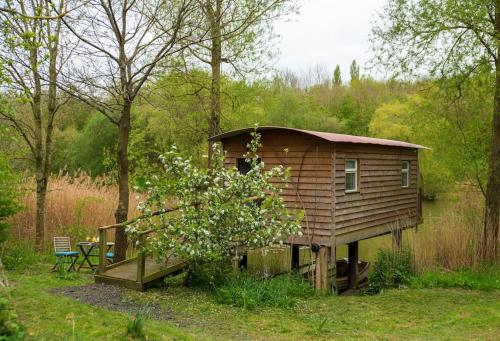 a small wooden cabin in the middle of a forest at Lakeside Cabin on Stilts- 'Kingfisher' in Rous Lench