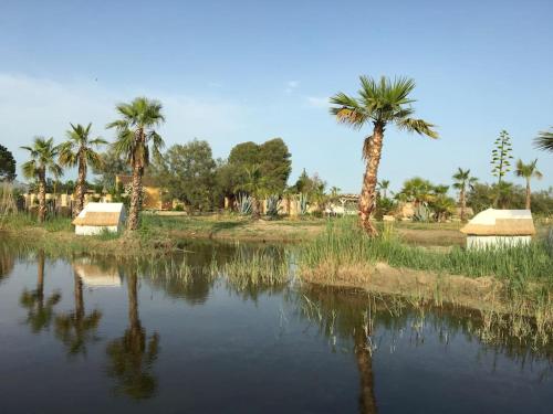 Mas de l isle sauvage aigues mortes