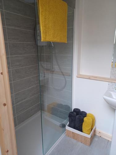um chuveiro com uma porta de vidro e um lavatório em The Toolshed em Daliburgh