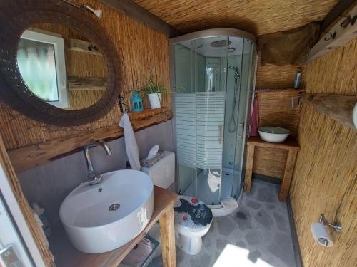 ein Bad mit einem Waschbecken, einer Dusche und einem Spiegel in der Unterkunft GeraldineWeg30- Bauwagenflair in Hessisch Oldendorf