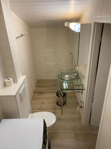 ein Badezimmer mit einem Glaswaschbecken und einem WC in der Unterkunft Super appart piscine proche Genève in Viry