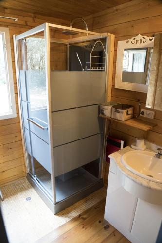 une salle de bain avec douche et lavabo dans l'établissement GITES de Plos Appart CHALET PISCINE SPA, à Anduze