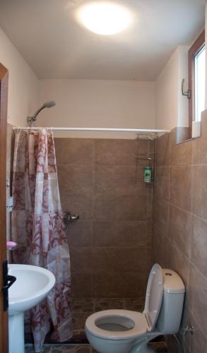 a bathroom with a toilet and a sink at Aste Guesthouse in Tropojë