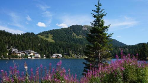 a lake with a tree and purple flowers at Chalet Bergliebe Turrach in Turracher Hohe