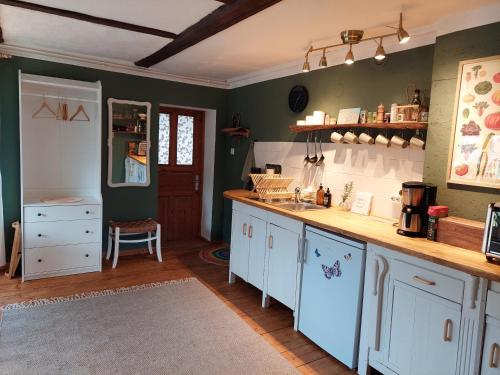 eine Küche mit grünen Wänden, weißen Schränken und einer Theke in der Unterkunft Gemütliches Studio-Apartment in Ostseenähe - Cosy Wulfi in Probsteierhagen
