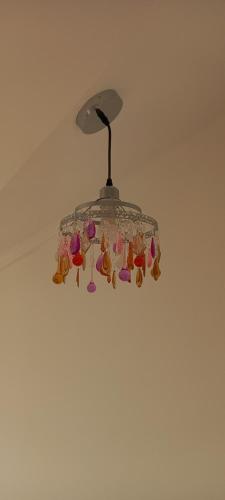 a chandelier with a bunch of cats on it at Cabañas cristal y pascal in Punta Arenas