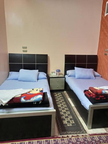 two beds sitting next to each other in a bedroom at NUBA ONe in Aswan