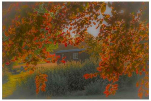 アシュフォードにあるMountbatten Shepherds hut & Buckhurst Shepherds hutのギャラリーの写真